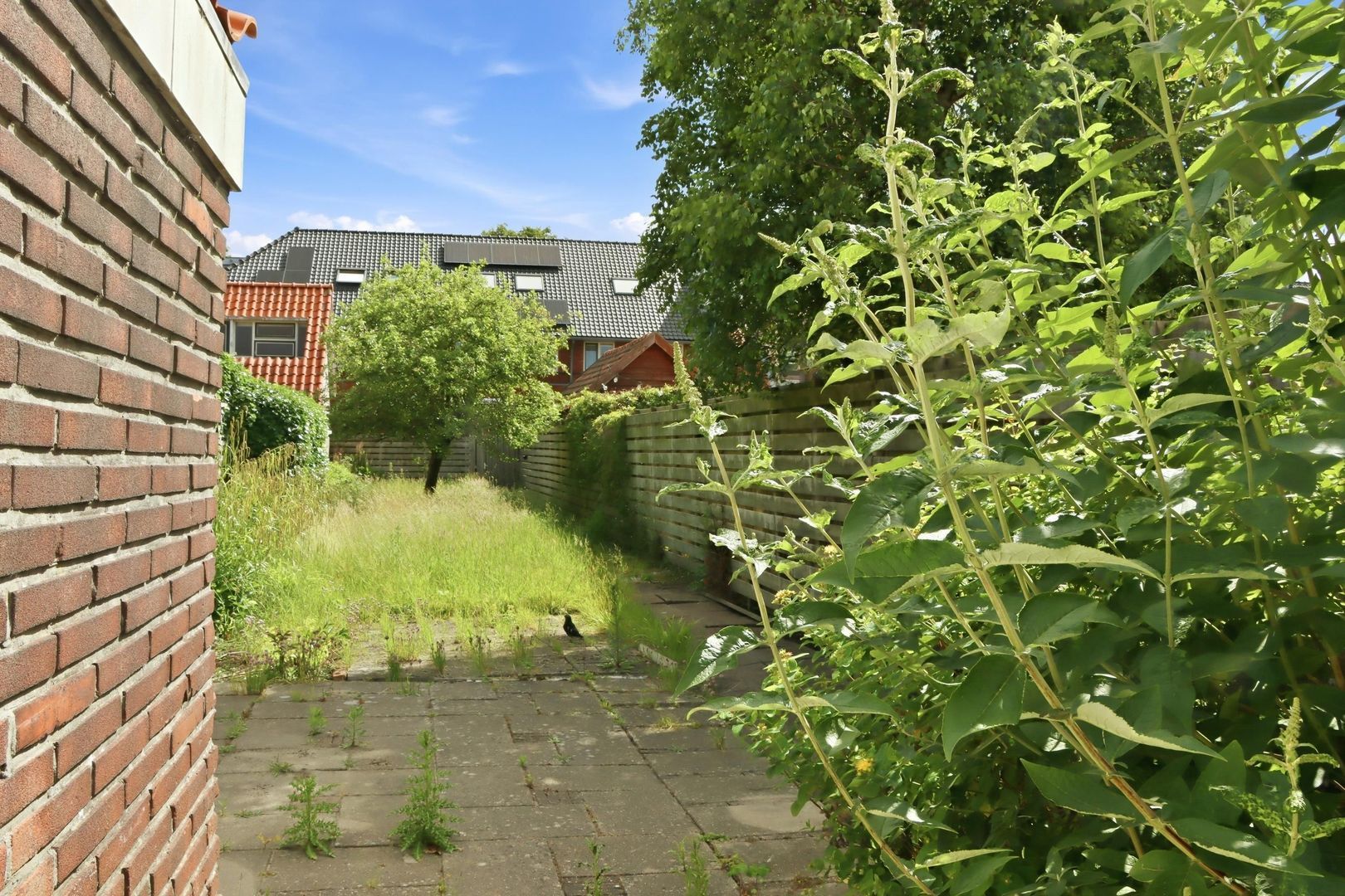 Prins Hendrikstraat 43, Wateringen foto-33 blur