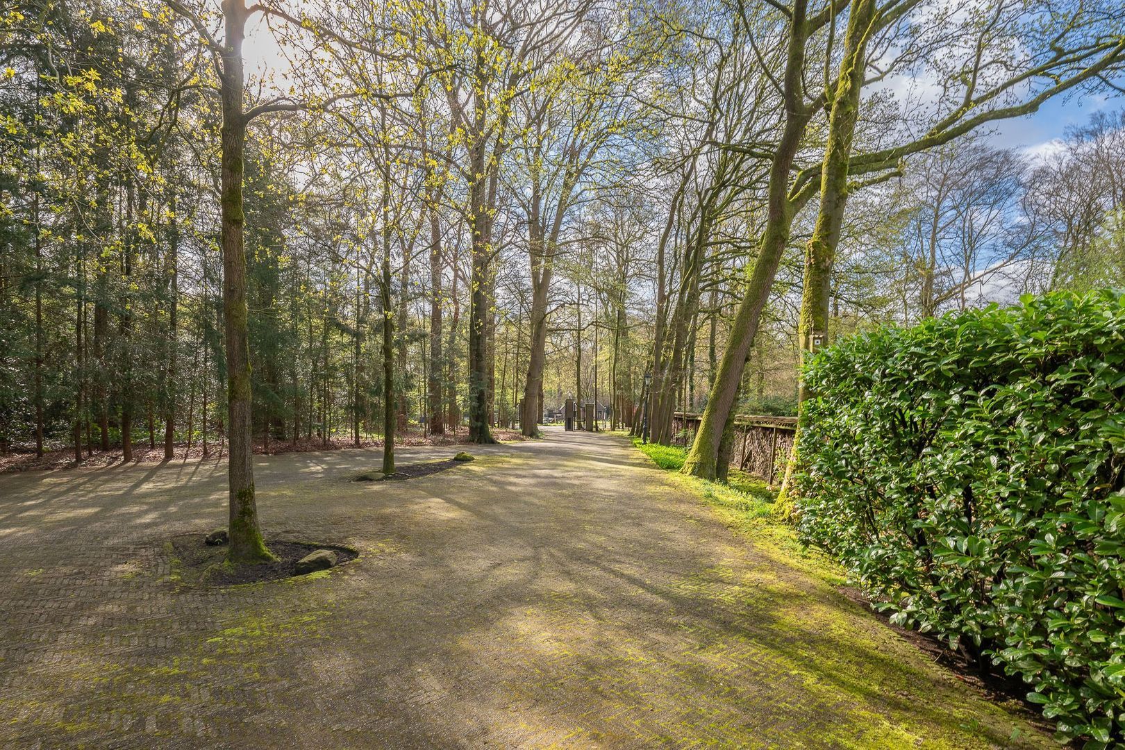 Kloosterlaan 2 A, Lage Vuursche foto-35 blur