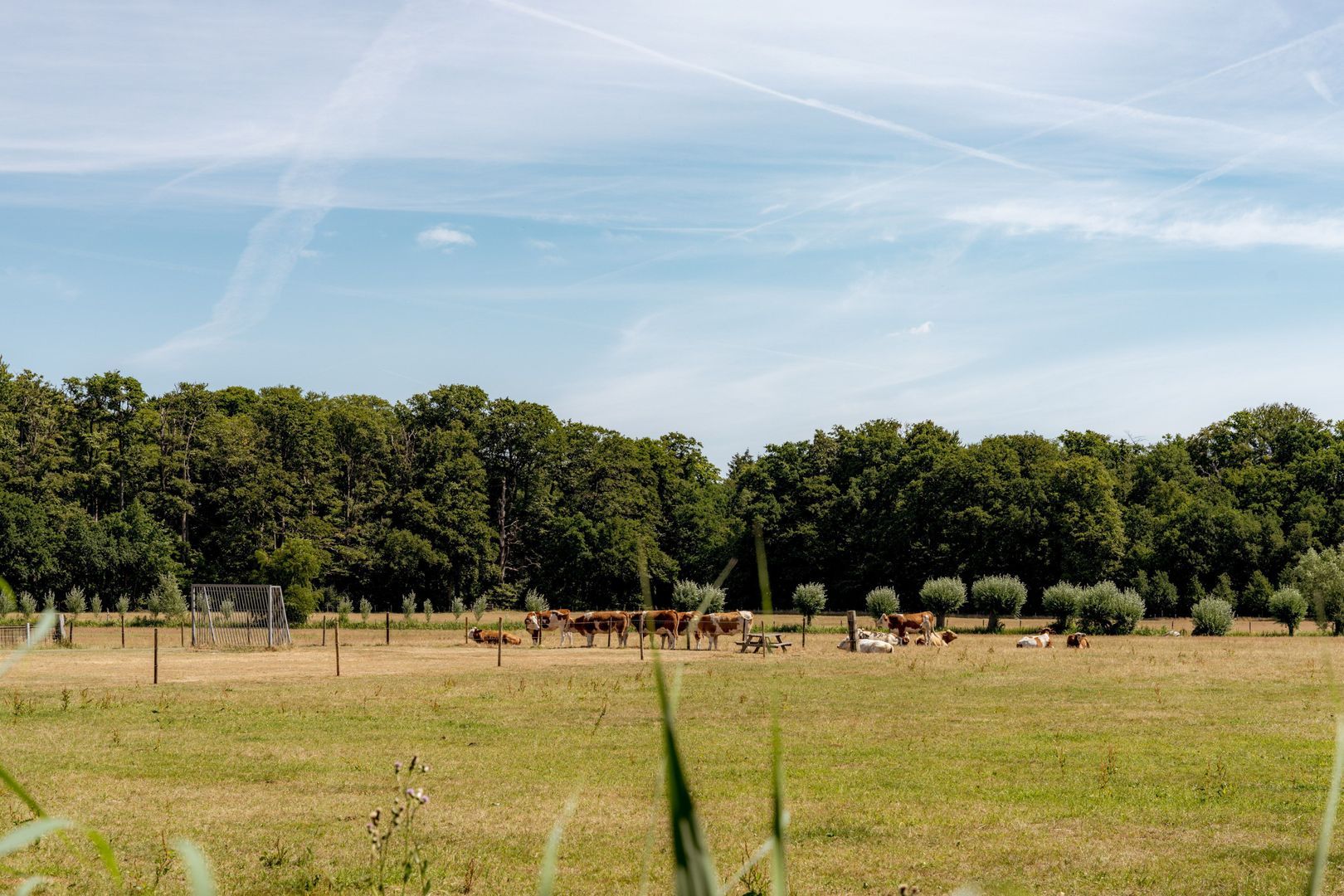 Noordereinde 49 d, 's-Graveland foto-20 blur
