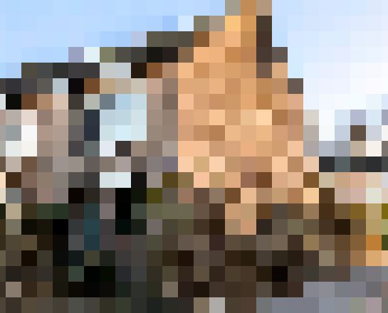 Bitterkruidpad 25, Almere