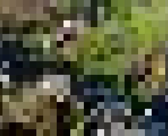 Nieuw-Loosdrechtsedijk 140, Loosdrecht