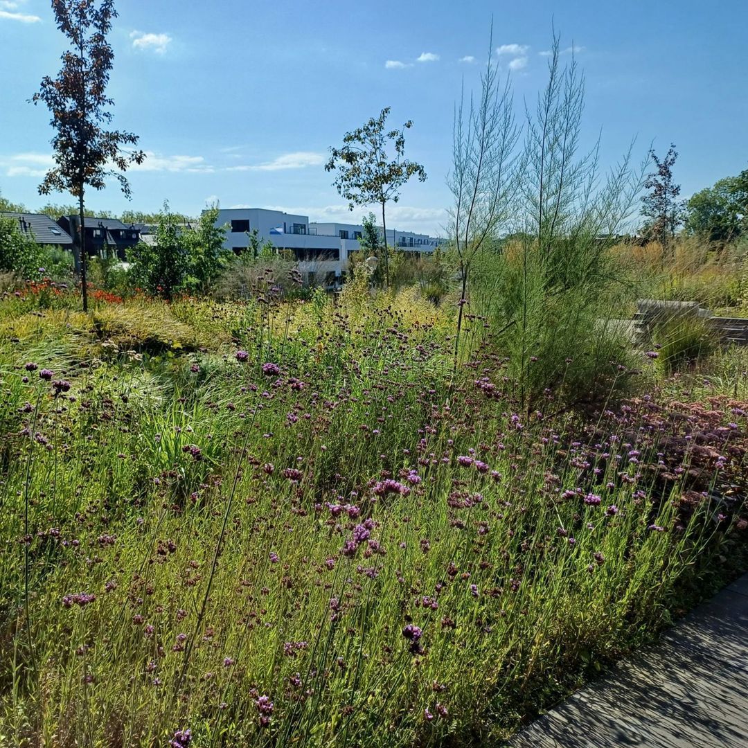 Kruitmolen 40, Muiden foto-43 blur
