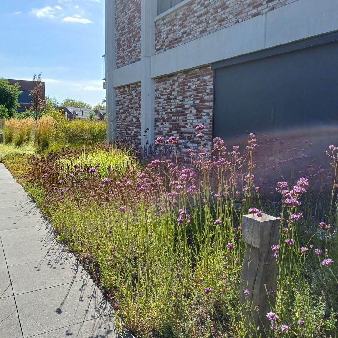 Kruitmolen 40, Muiden foto-44 blur