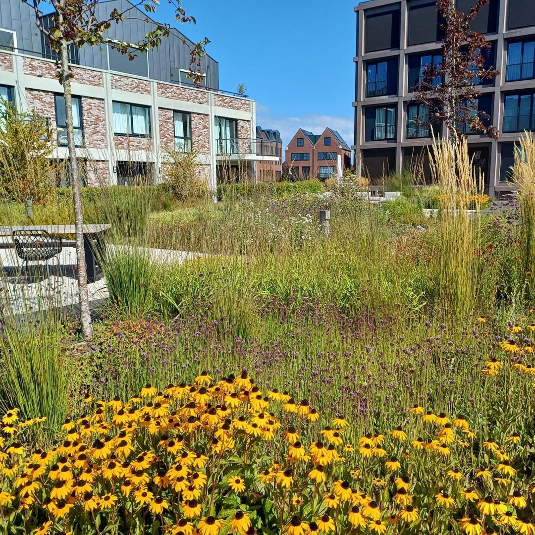 Kruitmolen 40, Muiden foto-42 blur