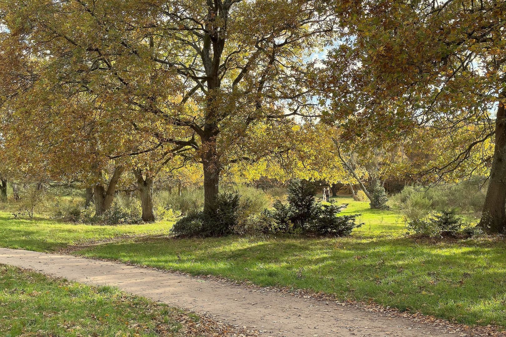 Admiraal de Ruyterlaan 27, Hilversum foto-23 blur