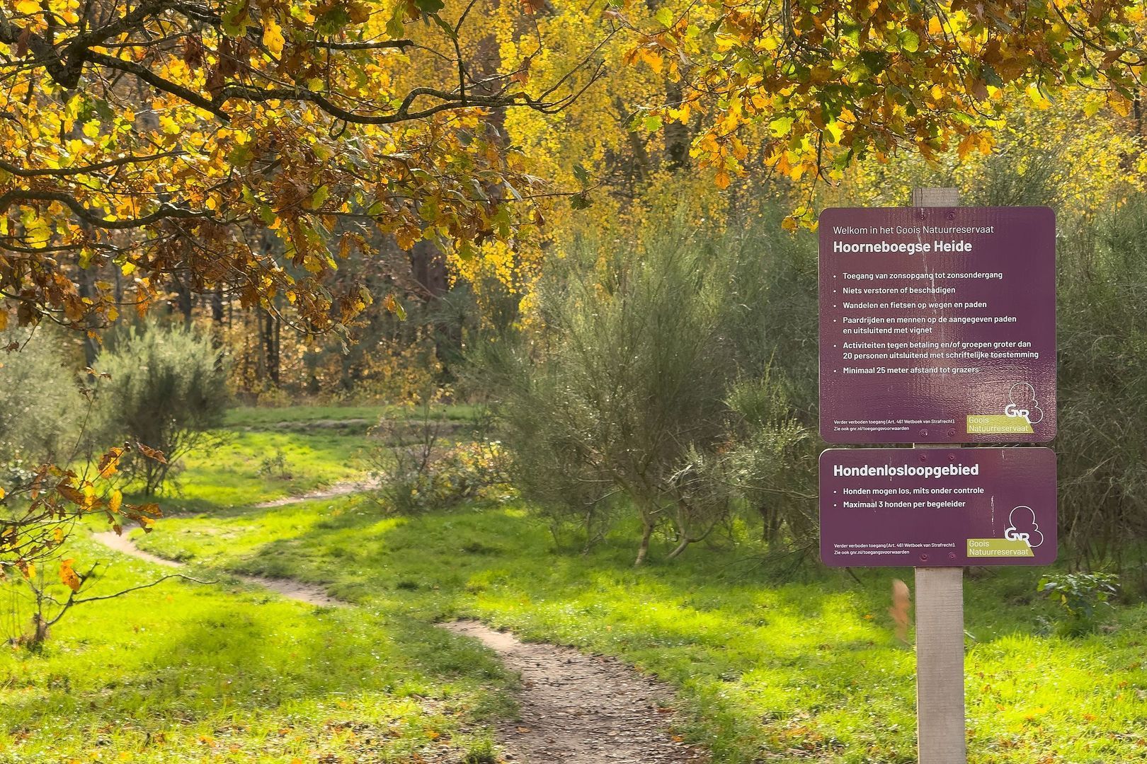 Admiraal de Ruyterlaan 27, Hilversum foto-24 blur