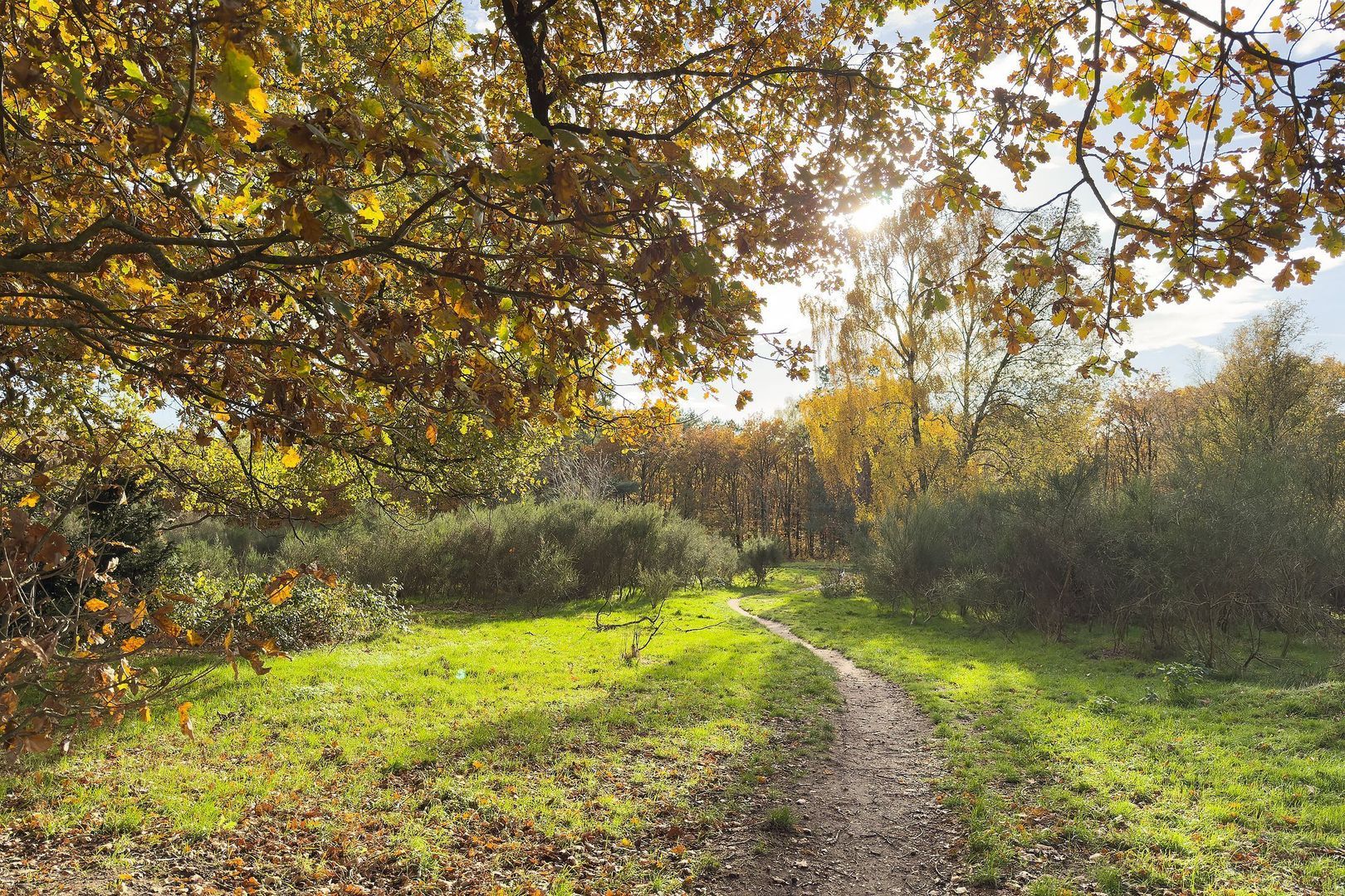 Admiraal de Ruyterlaan 27, Hilversum foto-25 blur