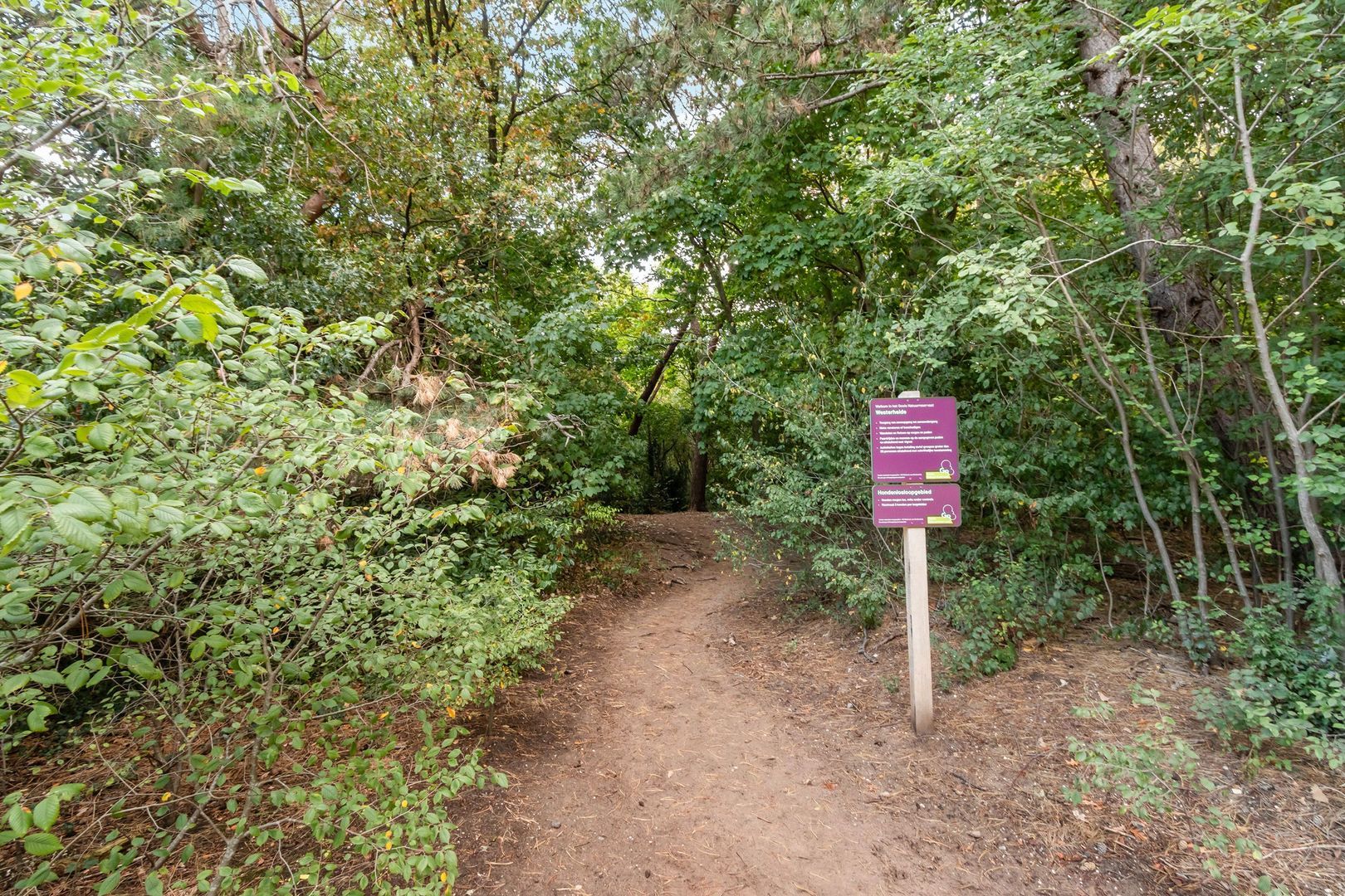 Erfgooiersstraat 253, Hilversum foto-13 blur