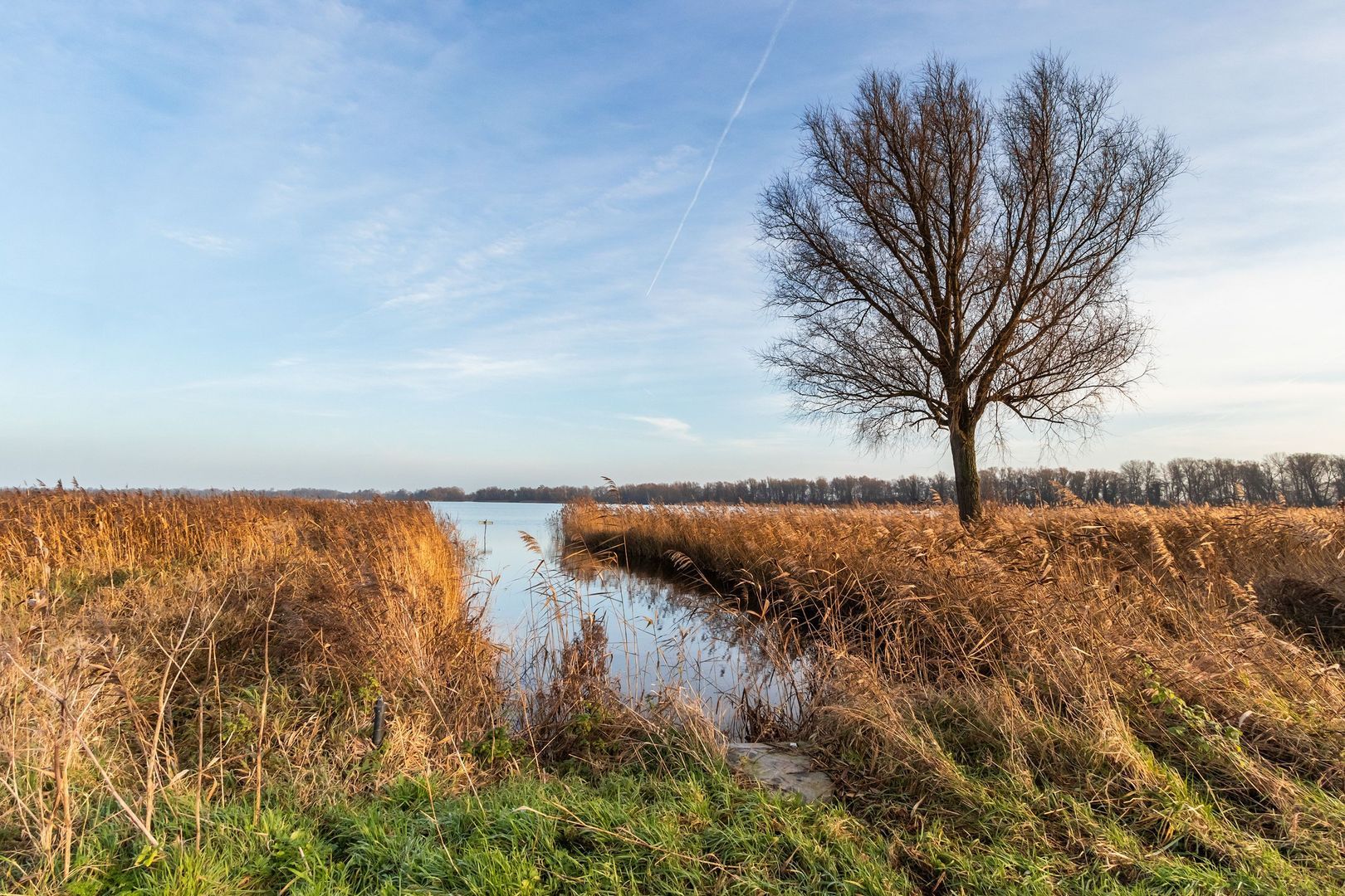 Lange Wetering 65, Nederhorst den Berg foto-2 blur