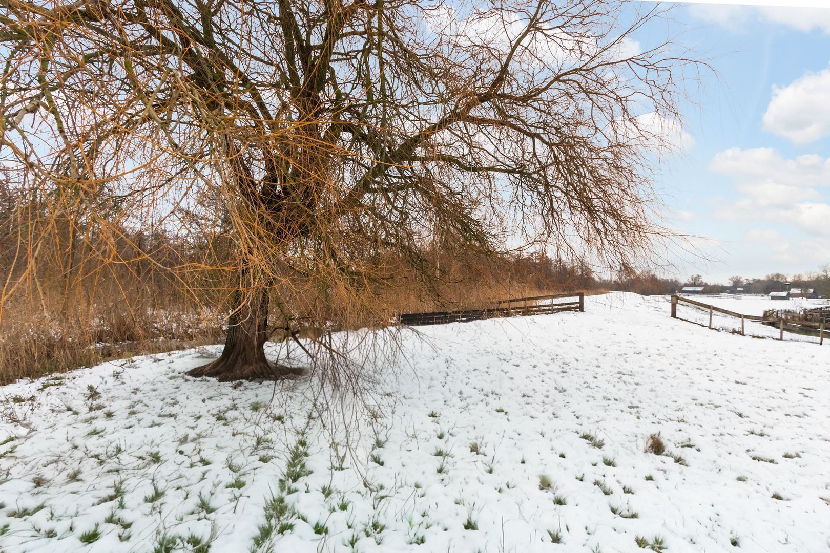 Middenweg 160, Nederhorst den Berg foto-17 blur
