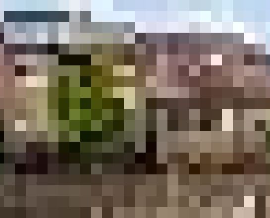 J.C.Ritsemalaan 19, Kortenhoef