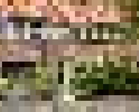 S. Hoogewerffstraat 51, Hilversum