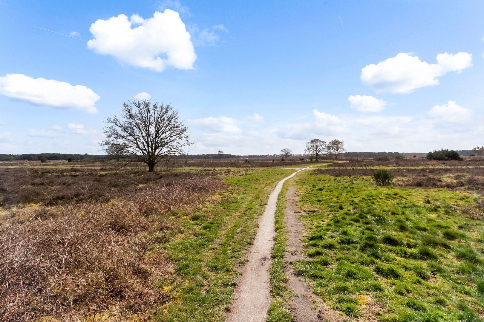 Randweg 143, Bussum foto-31 blur