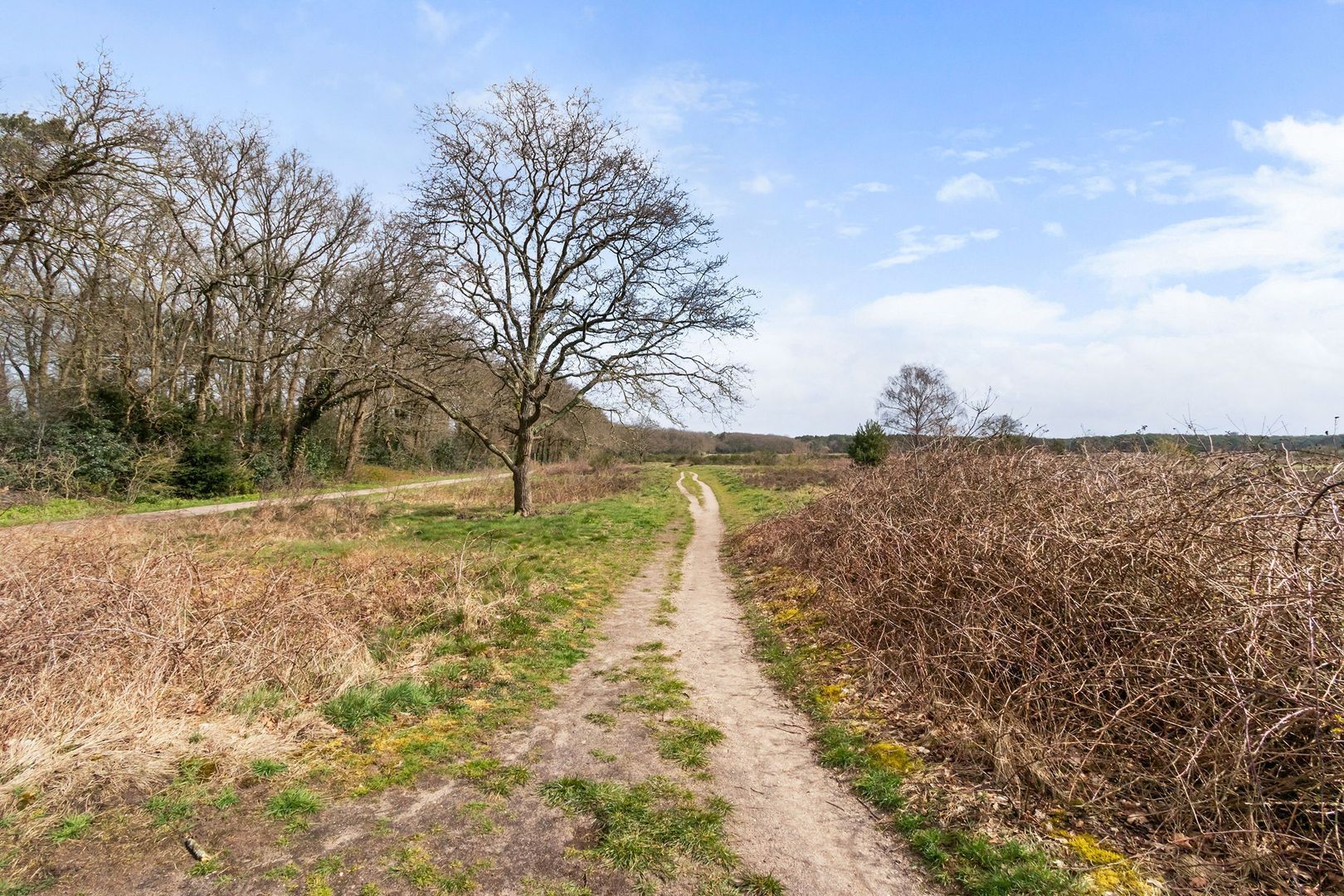 Randweg 143, Bussum foto-32 blur