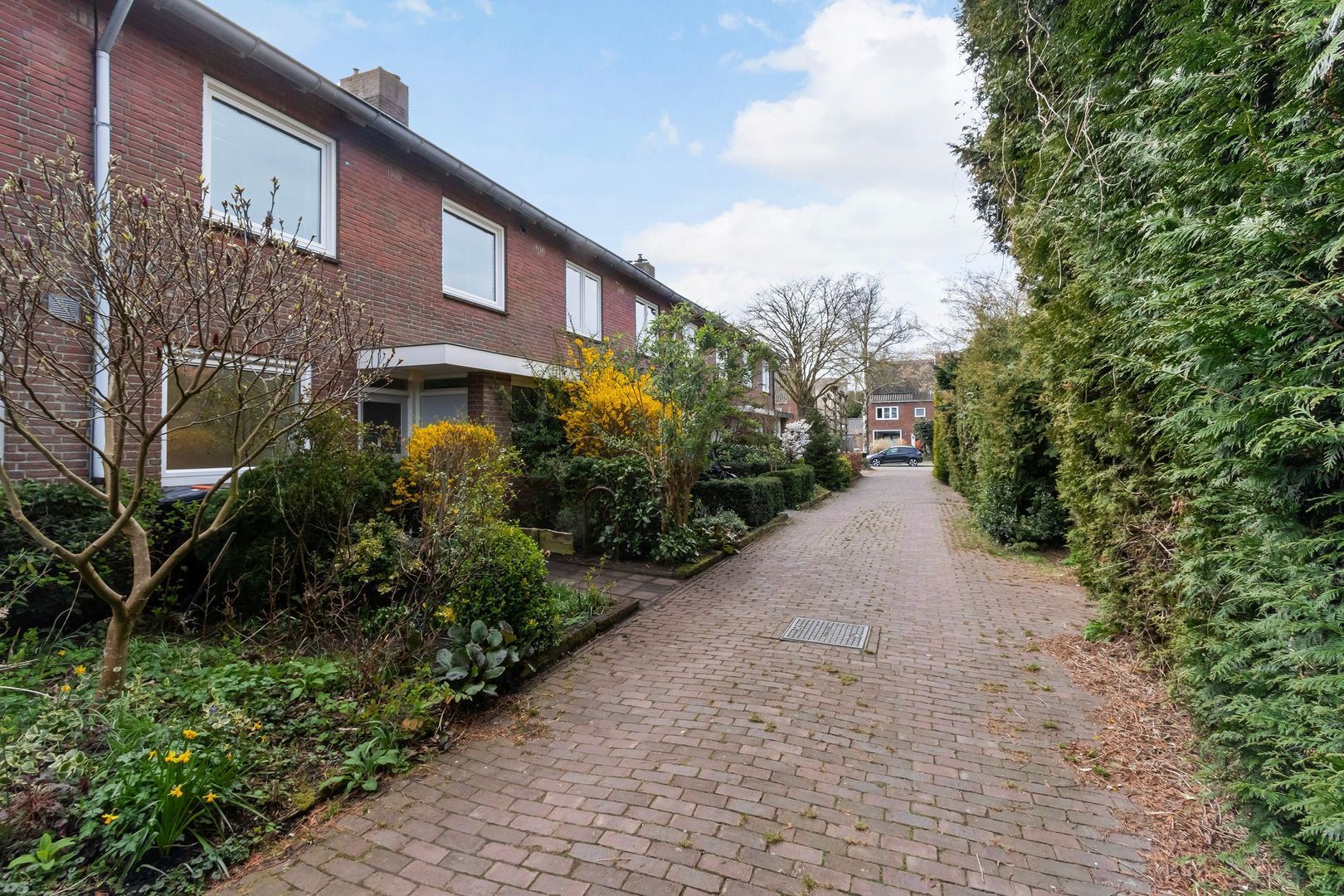 Top Naefflaan 31, Bussum foto-24 blur