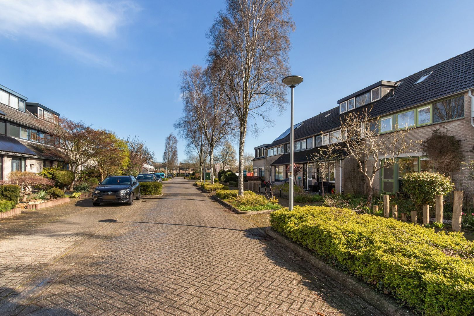 Hazenest 10, Kortenhoef foto-21 blur