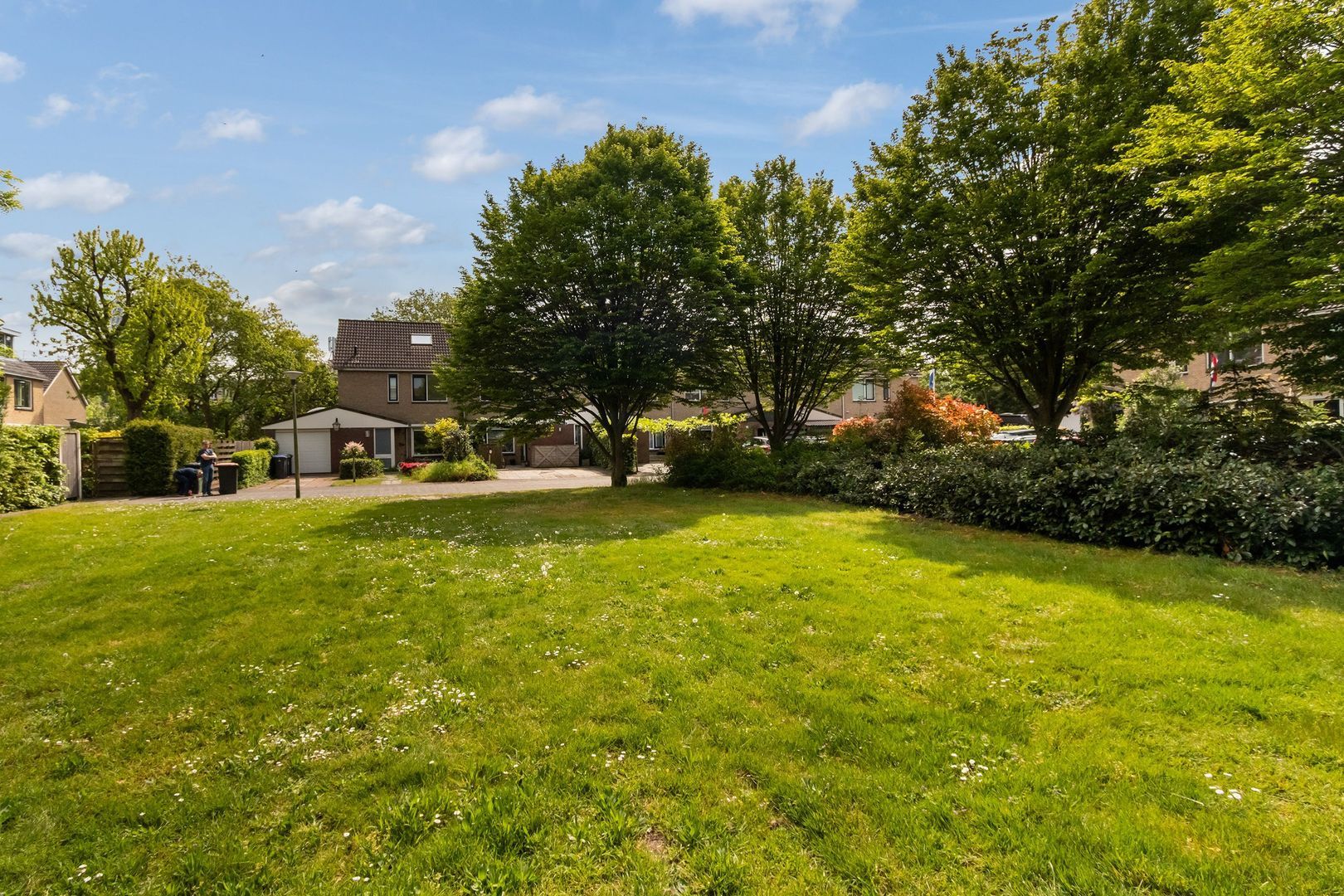Bunt 28, Huizen foto-24 blur