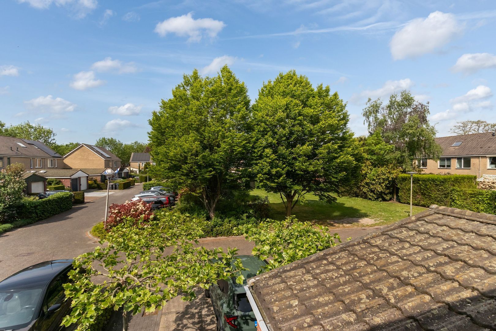 Bunt 28, Huizen foto-18 blur