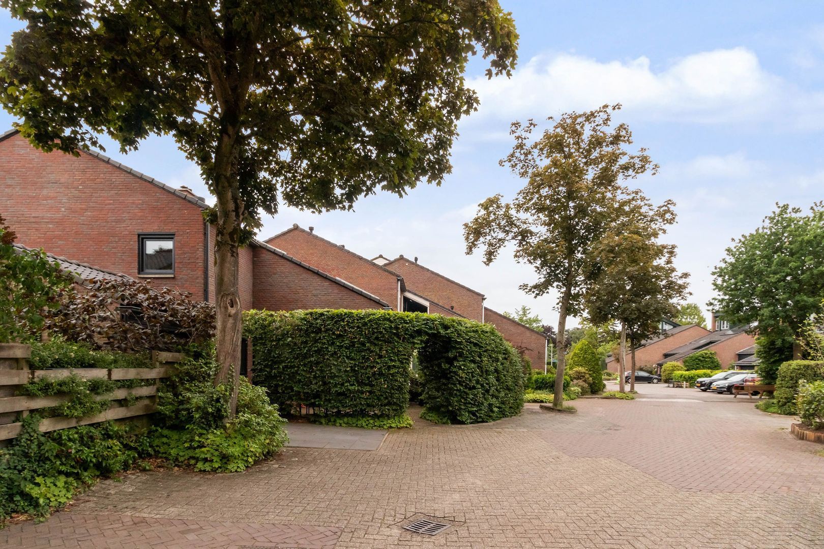 Goudwespmeent 55, Hilversum foto-26 blur