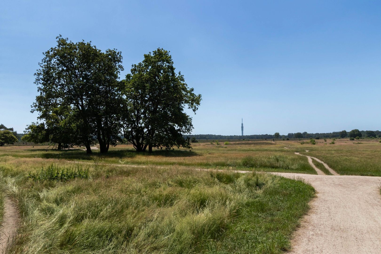 H.A. Lorentzweg 107, Bussum foto-38 blur