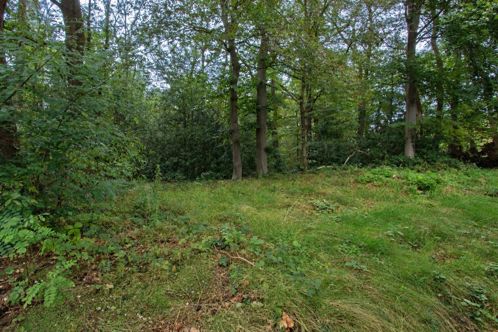 Beresteinseweg 4 A, Hilversum foto-14 blur