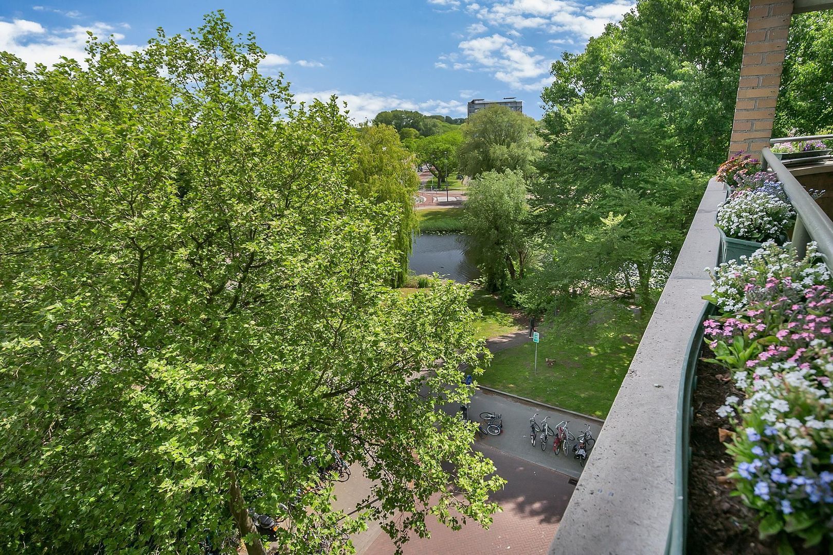 Schapendreef 209, Rotterdam foto-14 blur