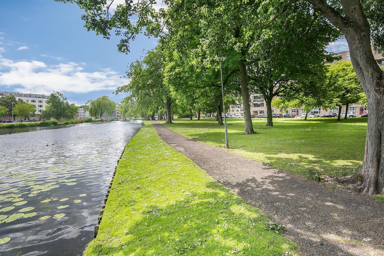 Schapendreef 209, Rotterdam foto-16 blur