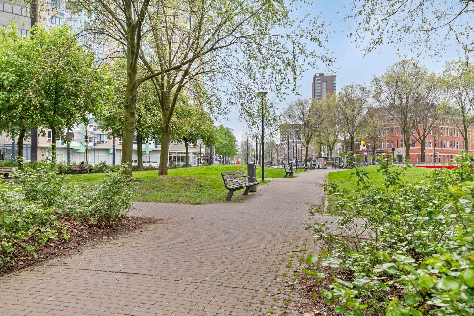 Carel van Nieveltstraat 12 A, Rotterdam foto-27 blur