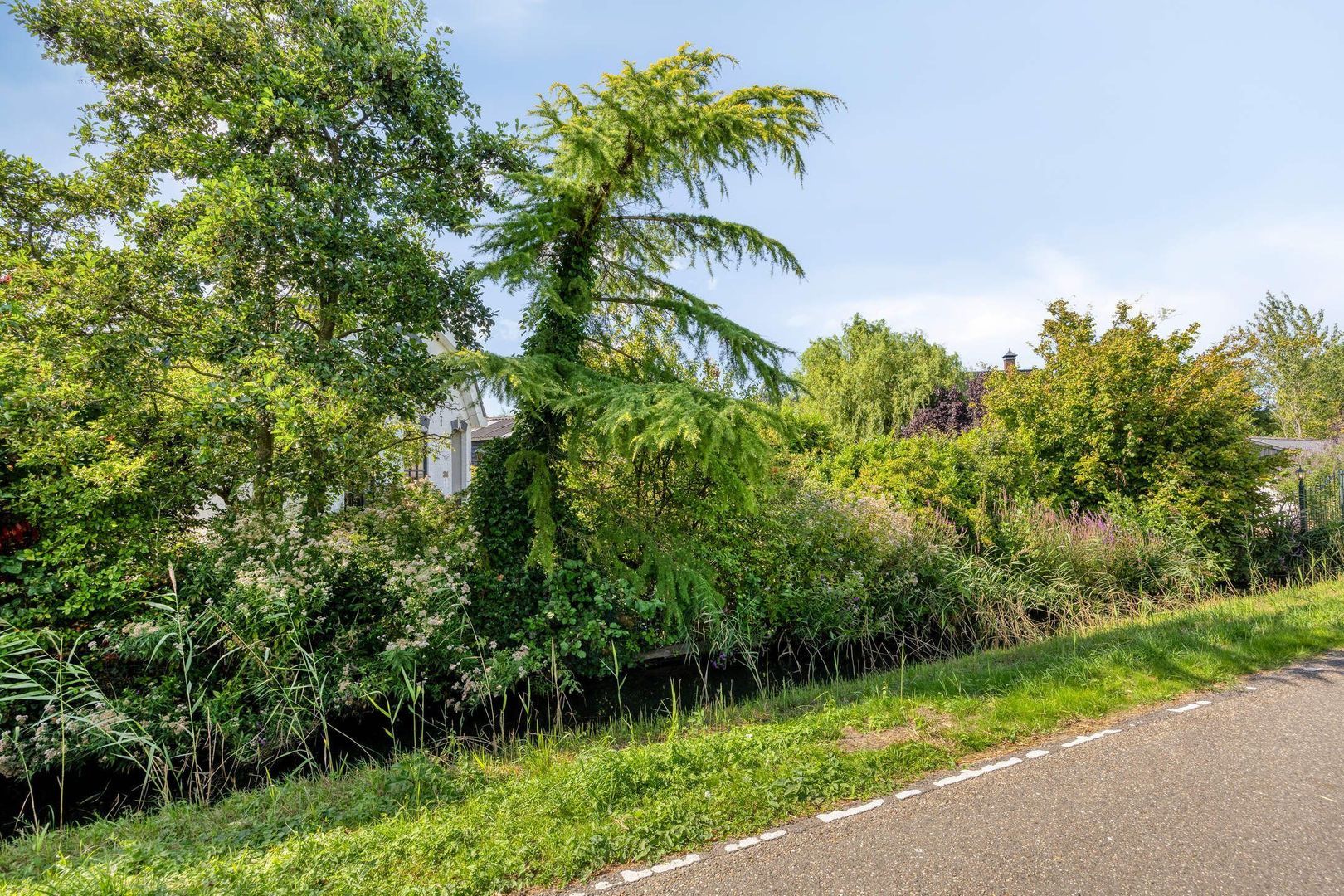 Bermweg 34, Rotterdam foto-66 blur