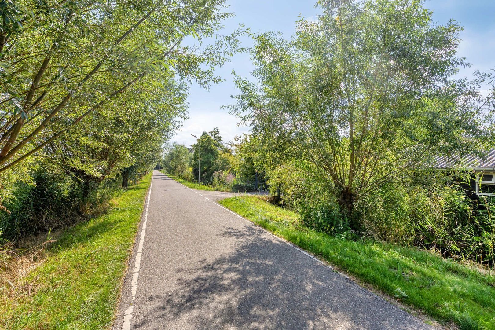 Bermweg 34, Rotterdam foto-67 blur