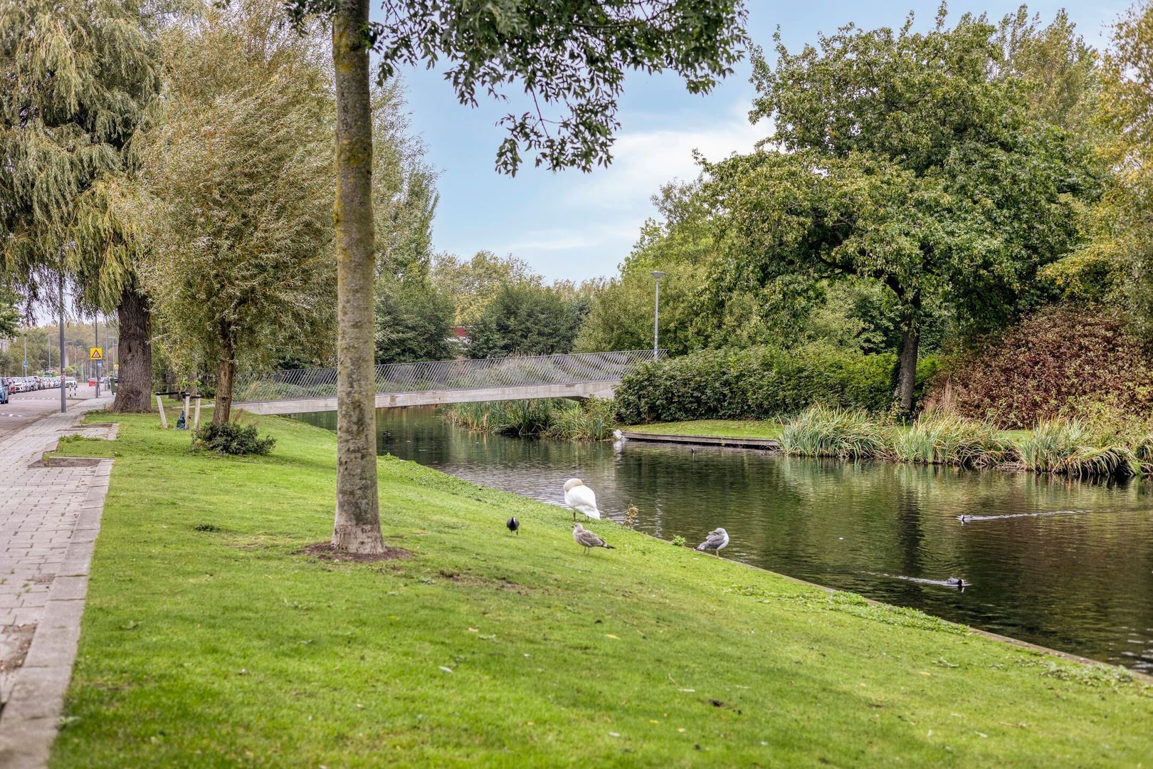 Ogierssingel 265, Rotterdam foto-28 blur