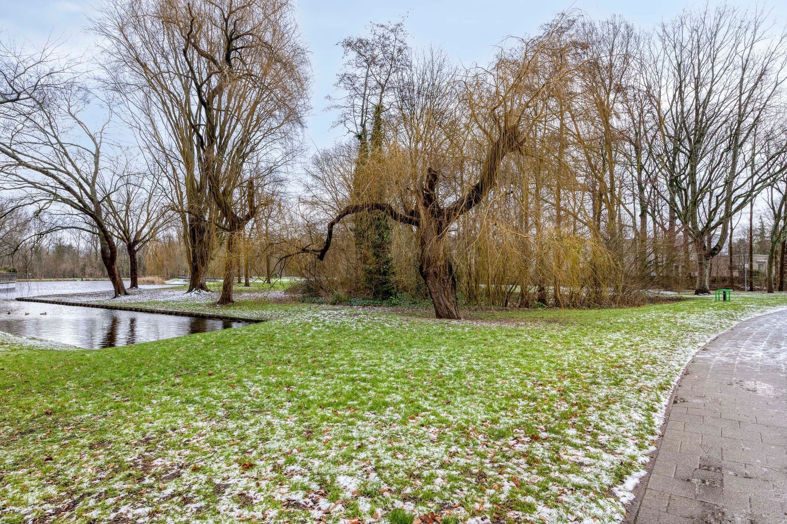 Brahmslaan 39, Rotterdam foto-52 blur