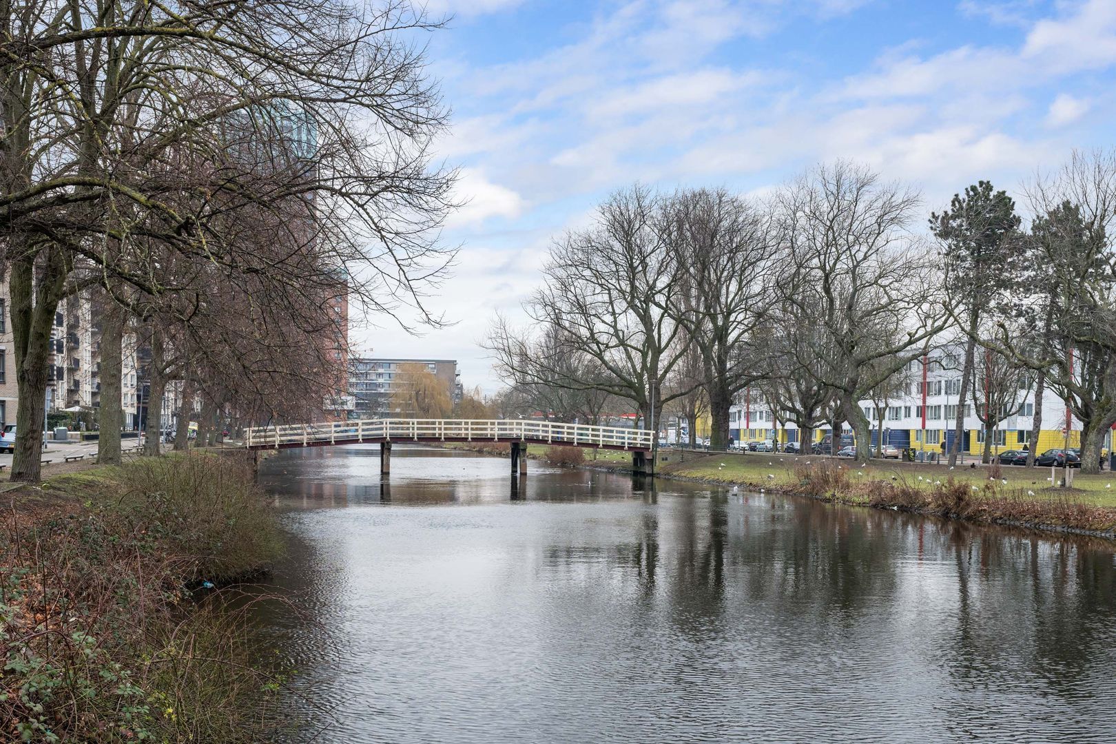 Hoge Boezem 20 B, Rotterdam foto-1 blur