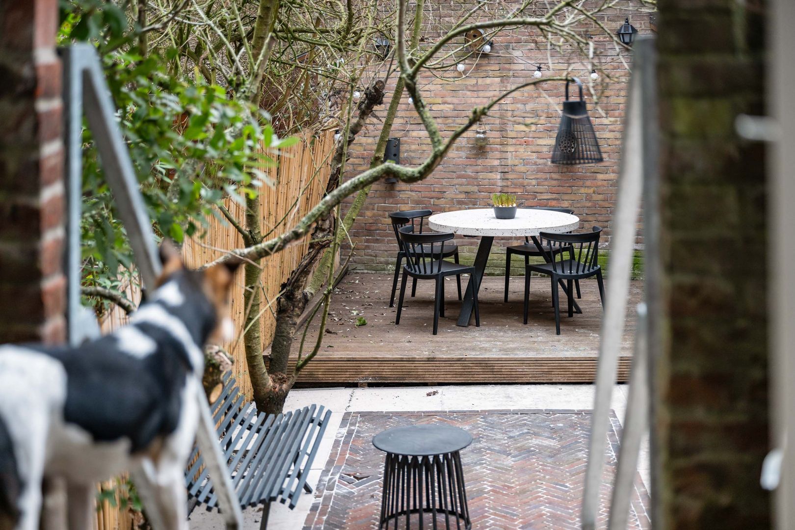 Hoge Boezem 20 B, Rotterdam foto-29 blur