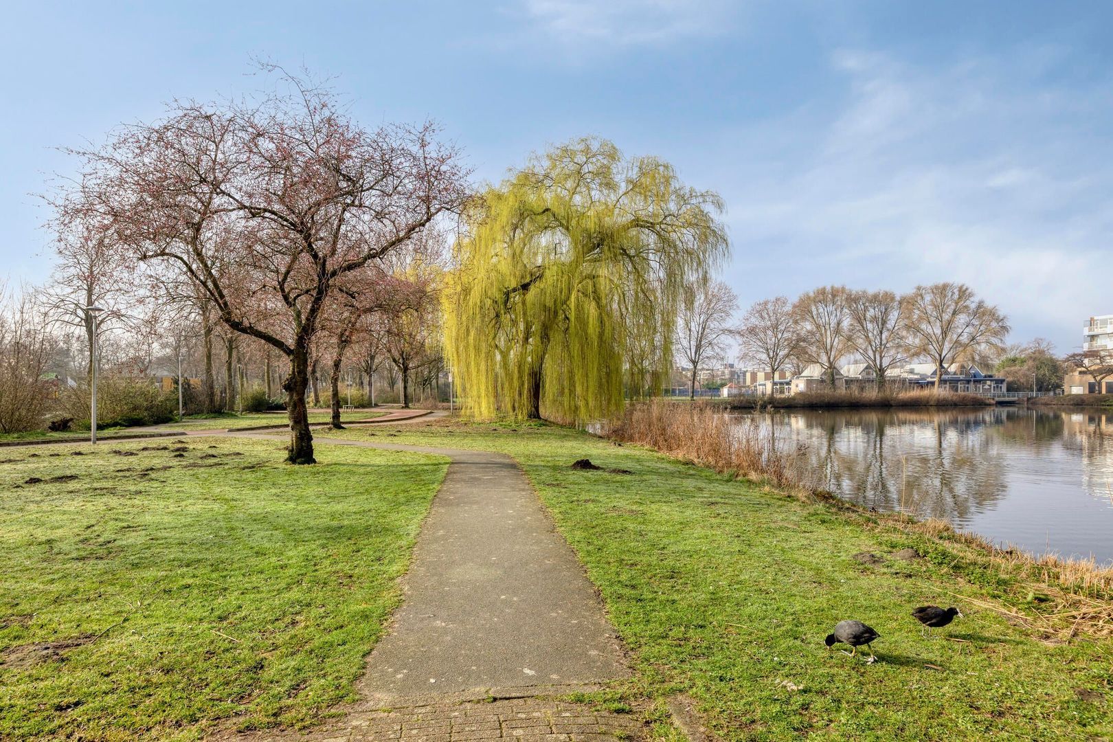 Henri Laurensrade 50, Capelle Aan Den Ijssel foto-35 blur