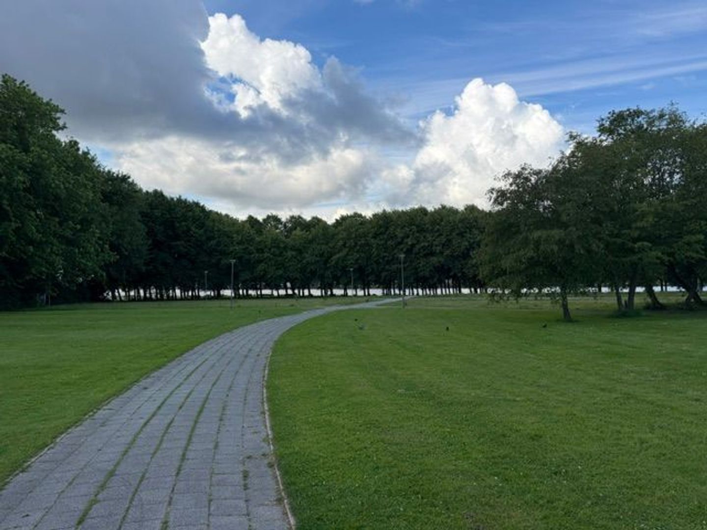Oostmaaslaan 45 F, Rotterdam foto-17 blur