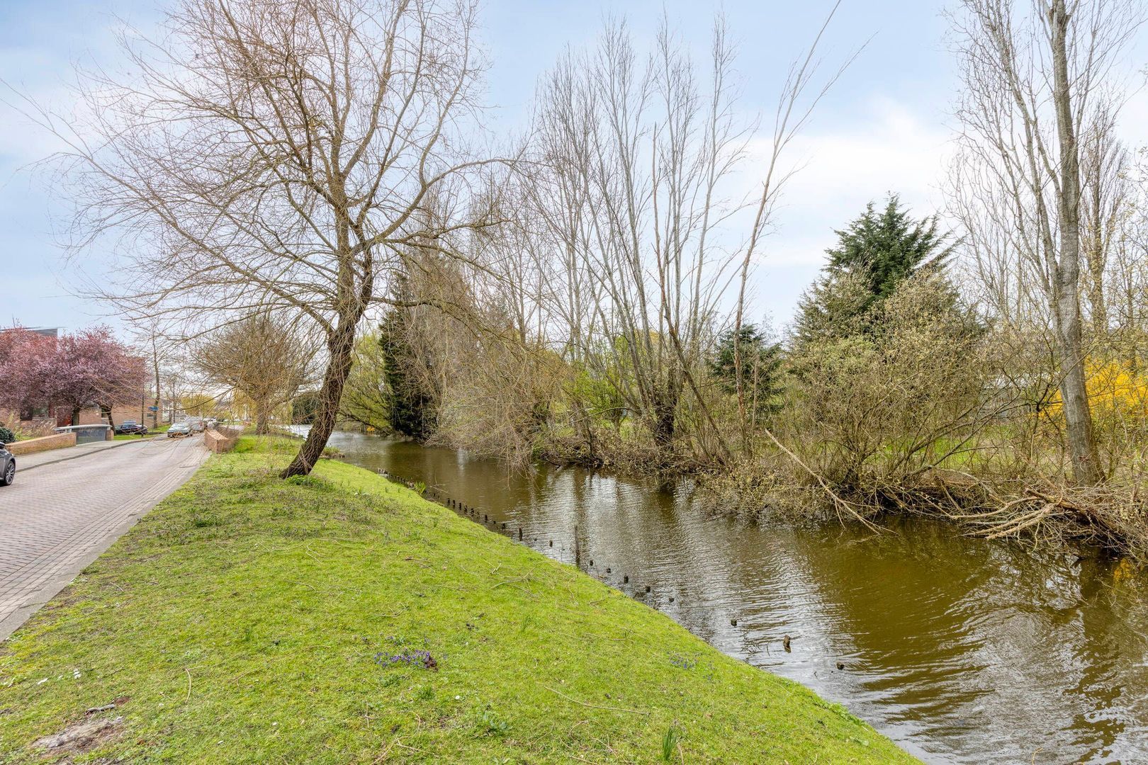 Marie Baronstraat 14, Rotterdam foto-33 blur
