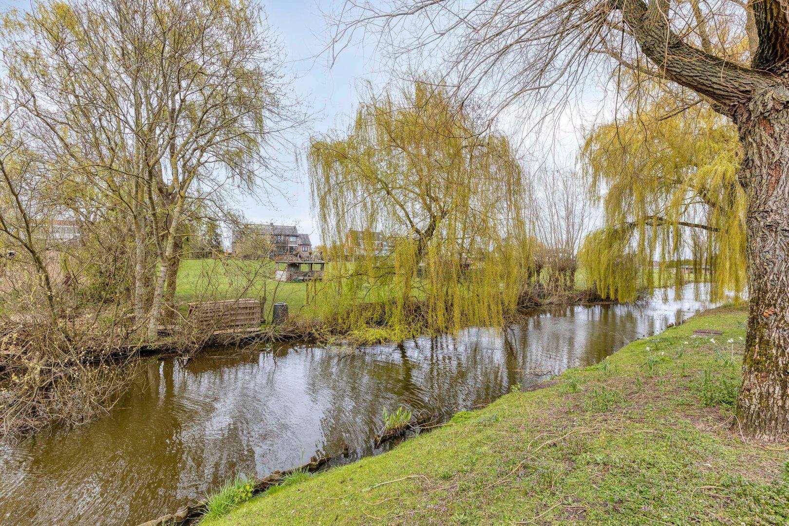 Marie Baronstraat 14, Rotterdam foto-34 blur
