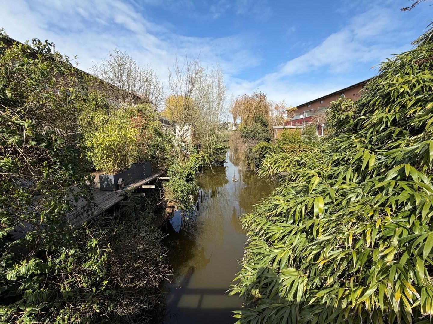 Marie Baronstraat 14, Rotterdam foto-35 blur