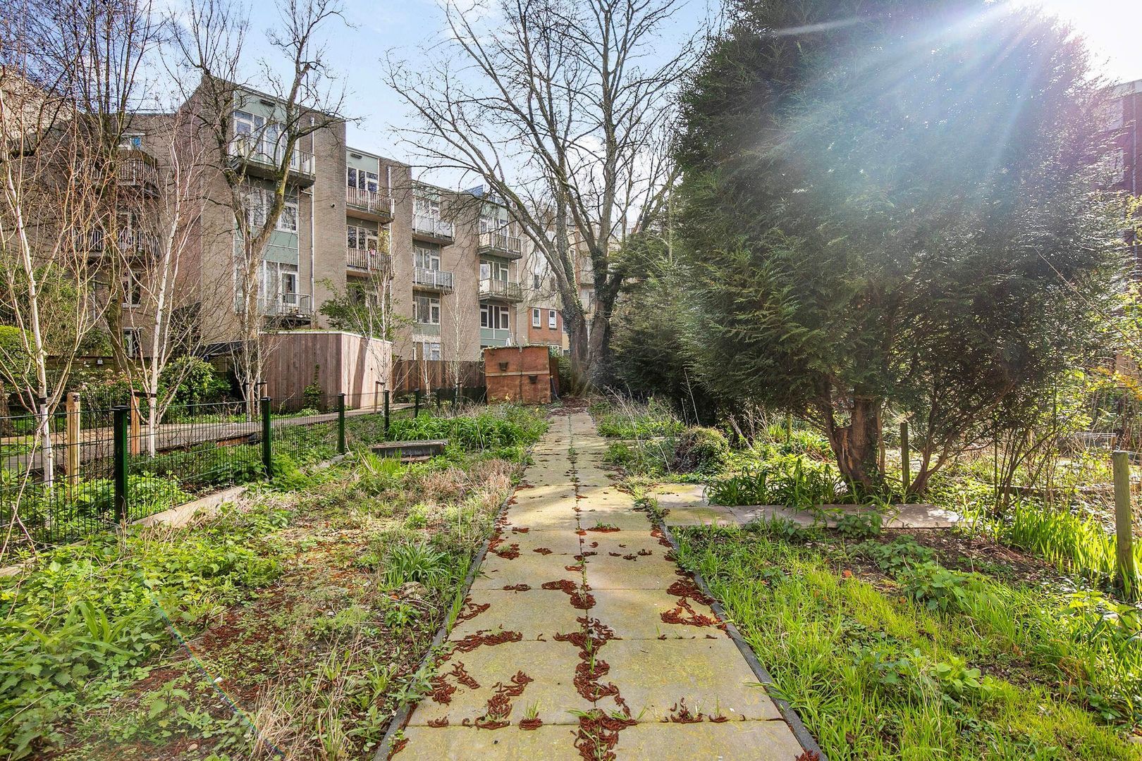 Beukelsweg 78 B, Rotterdam foto-24 blur