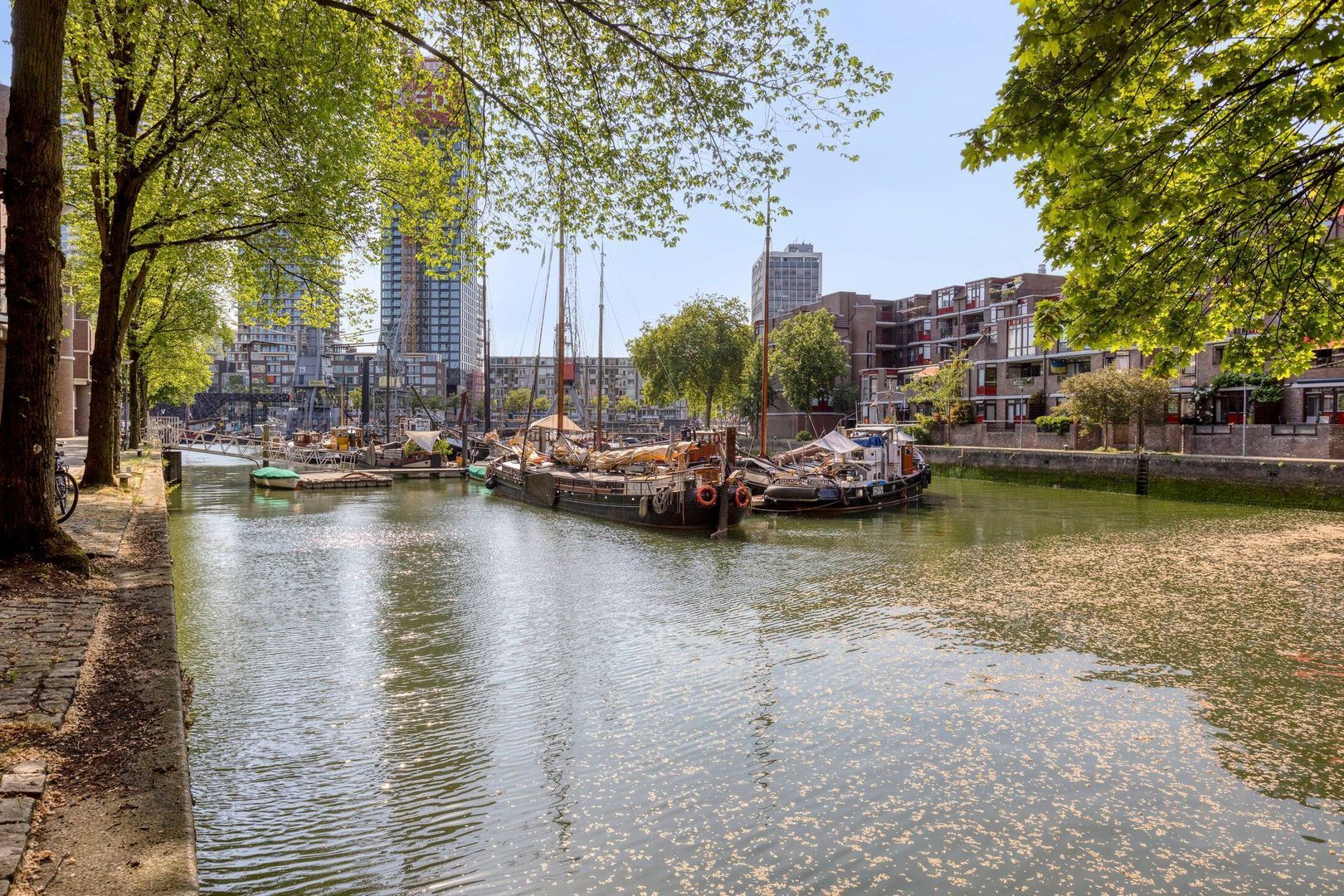 Wijnkade 78, Rotterdam foto-27 blur