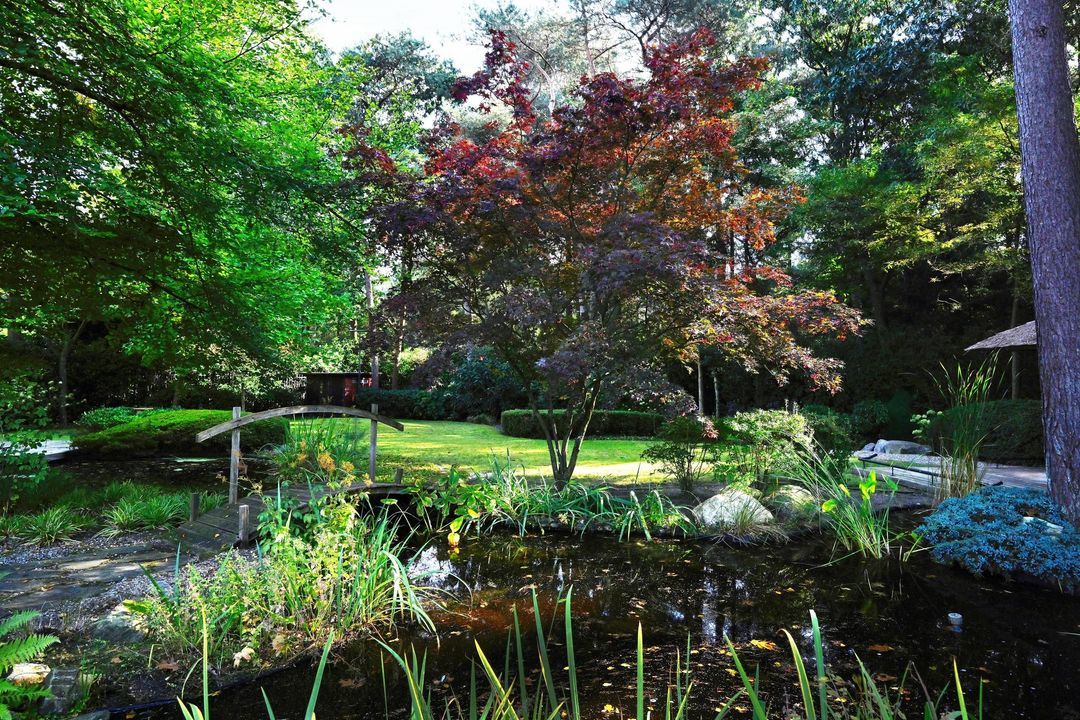 Jozef Israëlslaan 18 image thumbs 1