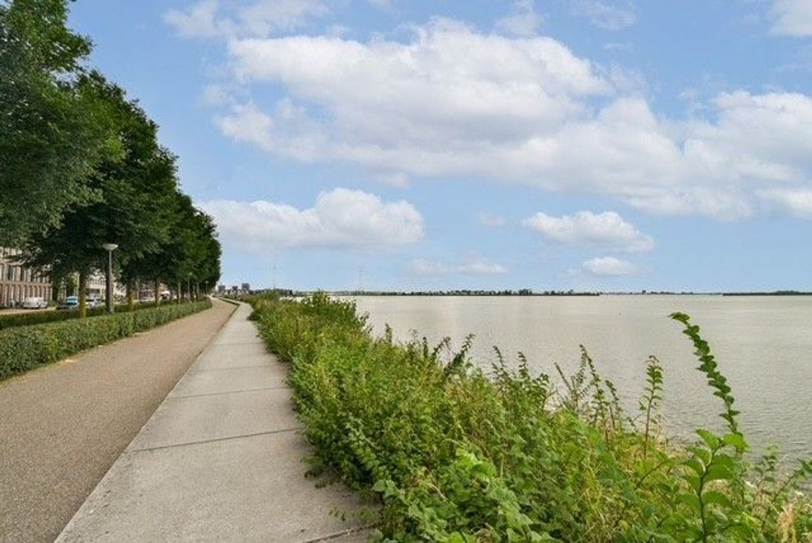 Maria Austriastraat 76 image 1