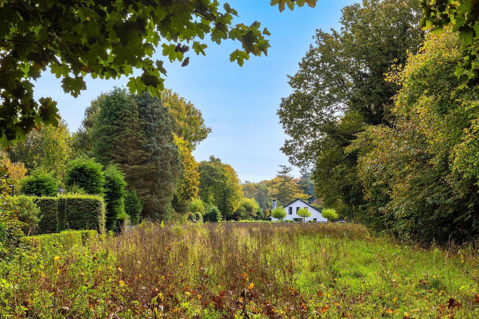 Verlengd Rozenlaantje 5 image 1