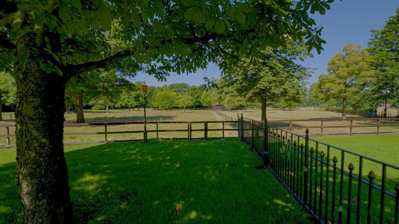 Pepereind 20 image thumbs 1