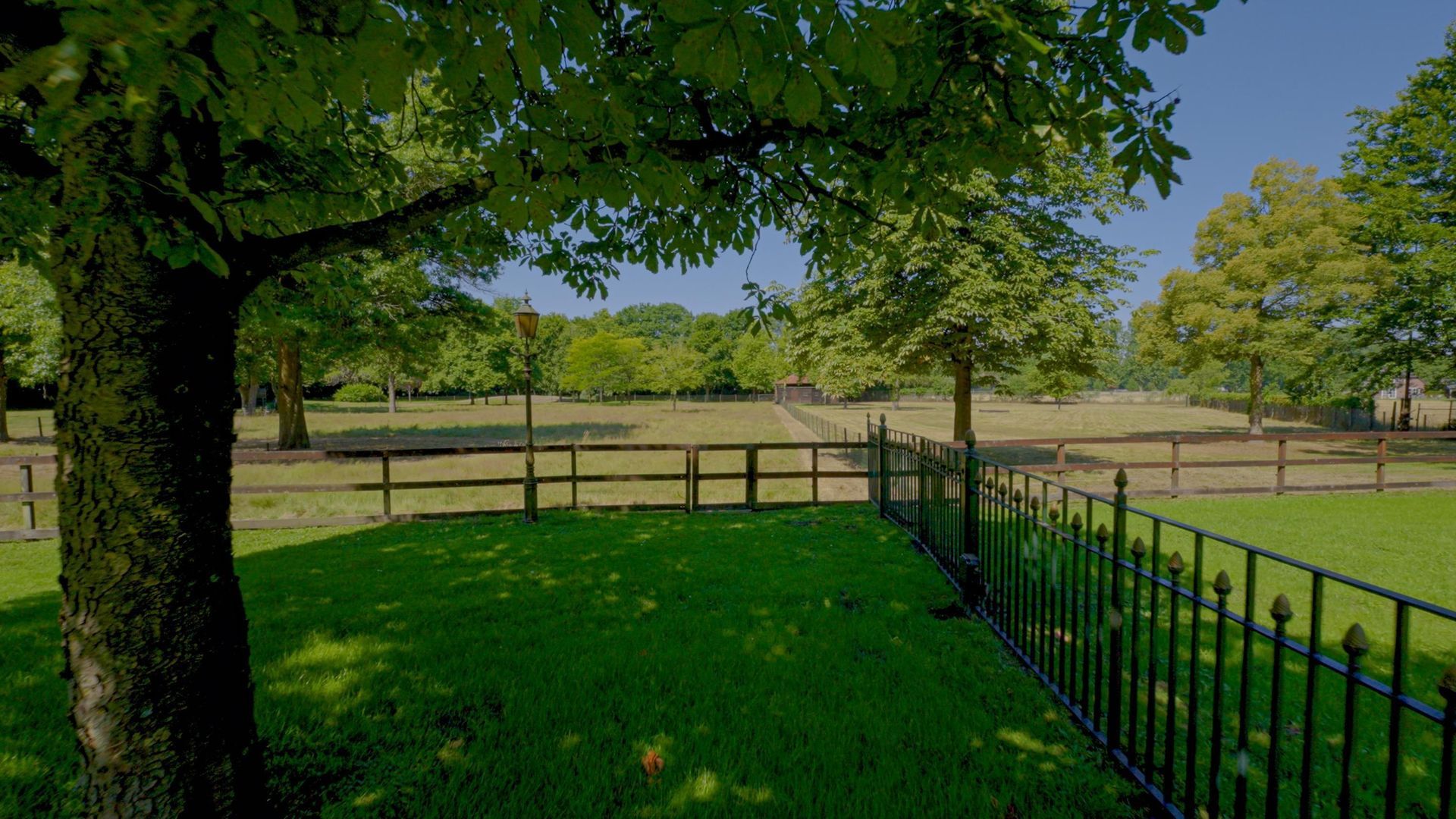 Pepereind 20 image 1