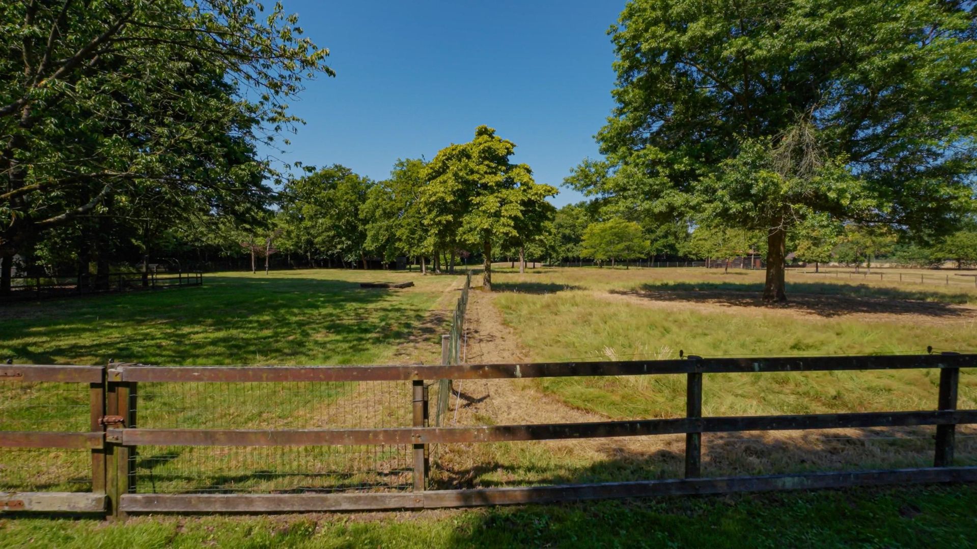 Pepereind 20 image 1