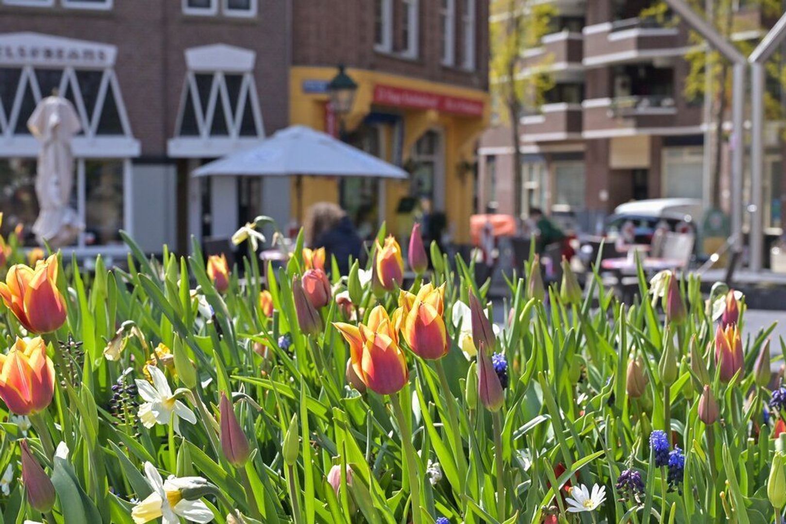 Anna Paulownastraat 30 2, Den Haag foto-25 blur