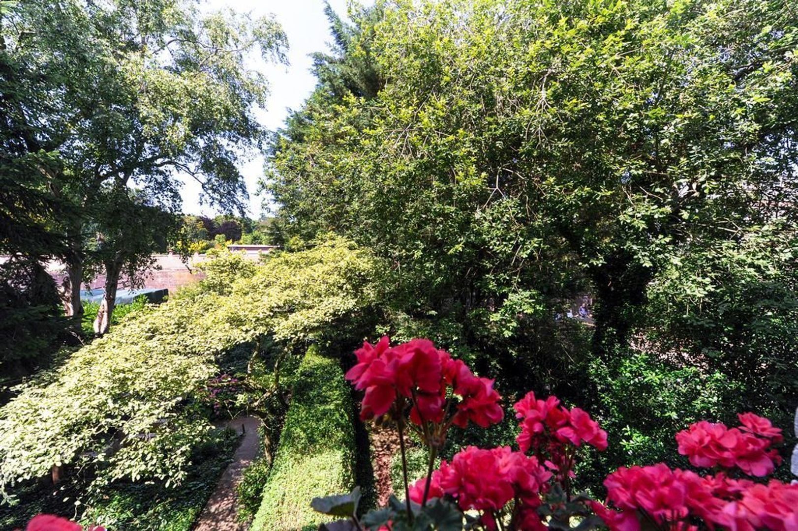 Riouwstraat 130, Den Haag foto-8 blur