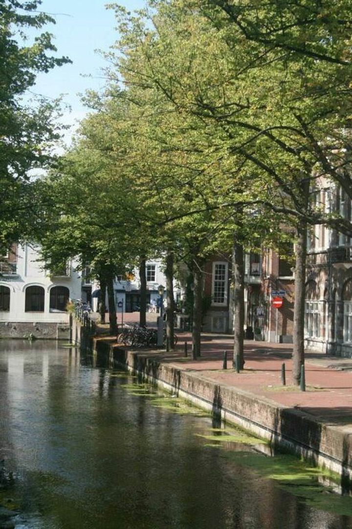 Houtweg 50, Den Haag foto-22 blur